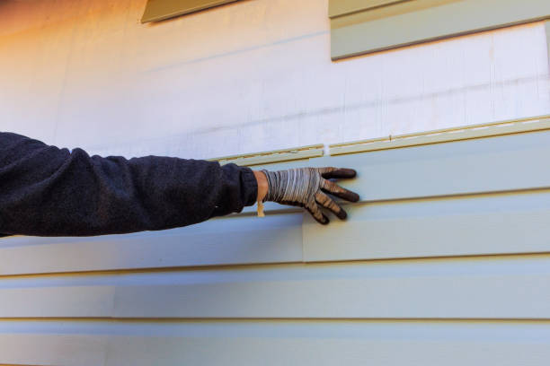 Best Insulated Siding Installation  in Ceredo, WV